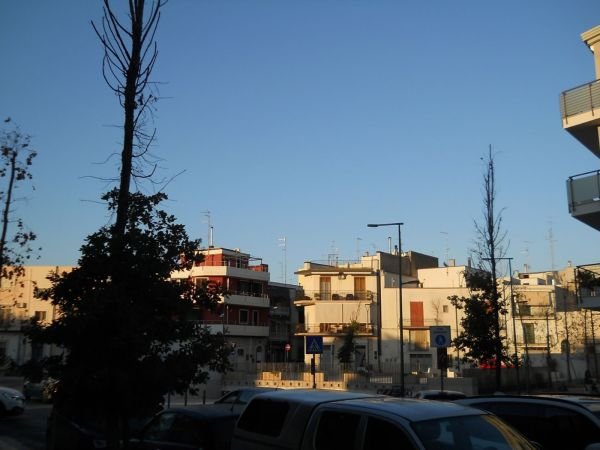 Acquaviva delle Fonti Bari IT56