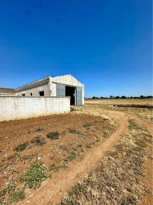 Casa Fazenda Bari IT57