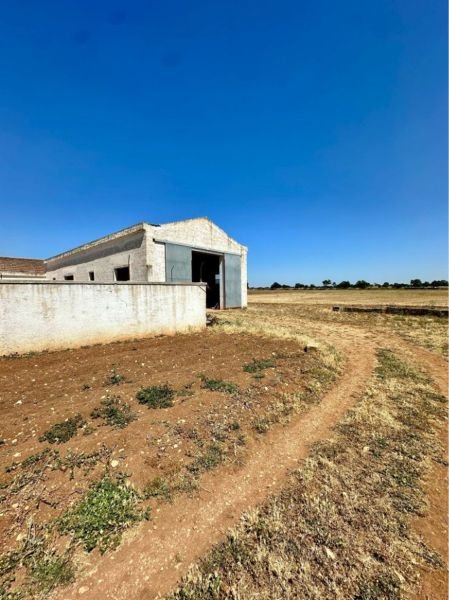 Casa Fazenda Bari IT57